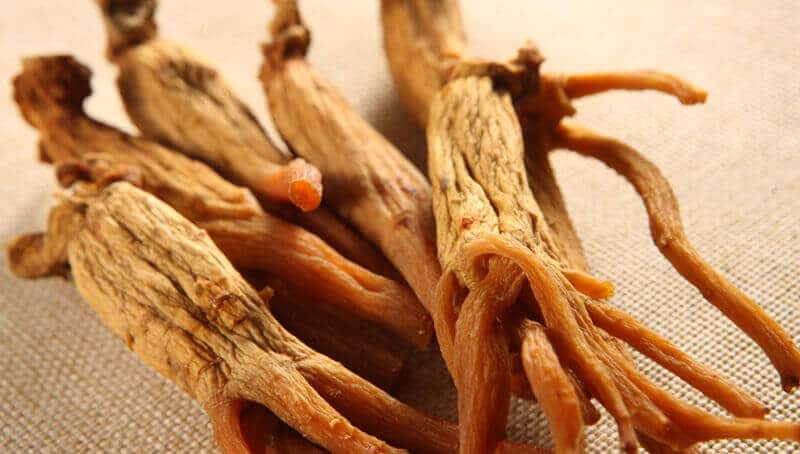 Korean red ginseng